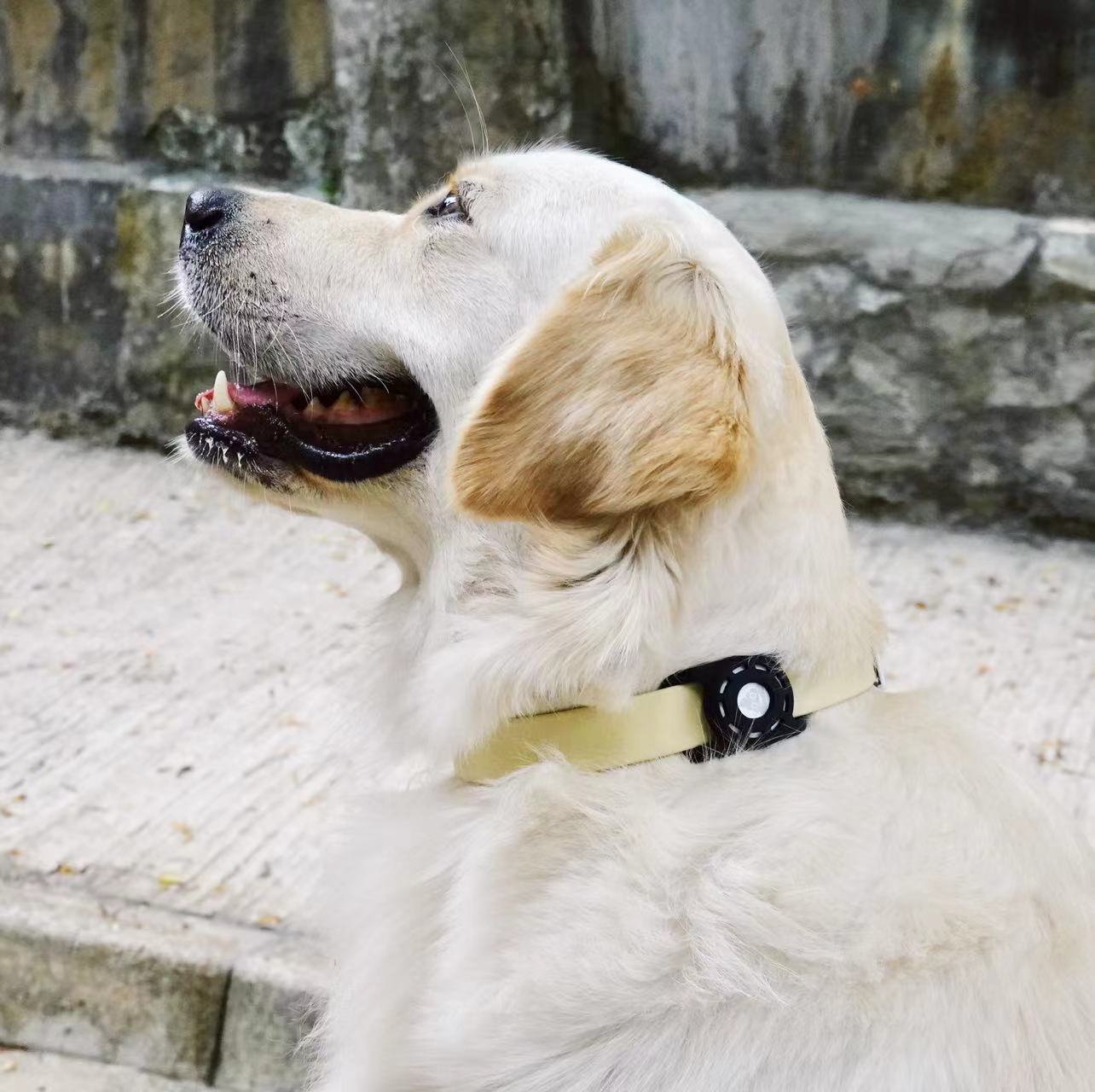 AirTag Holder