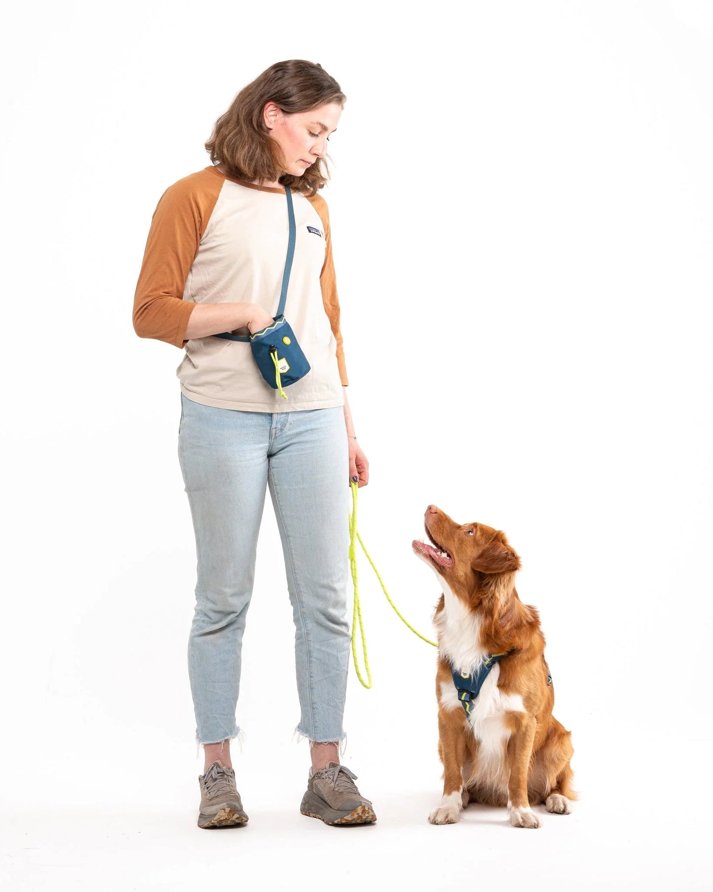 Horizon Harness
