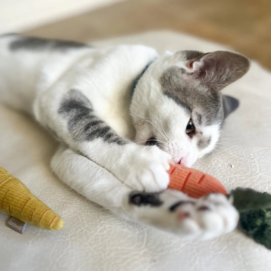 BABY CARROT - cat nips toy