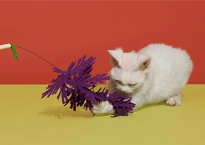 Cat Teaser