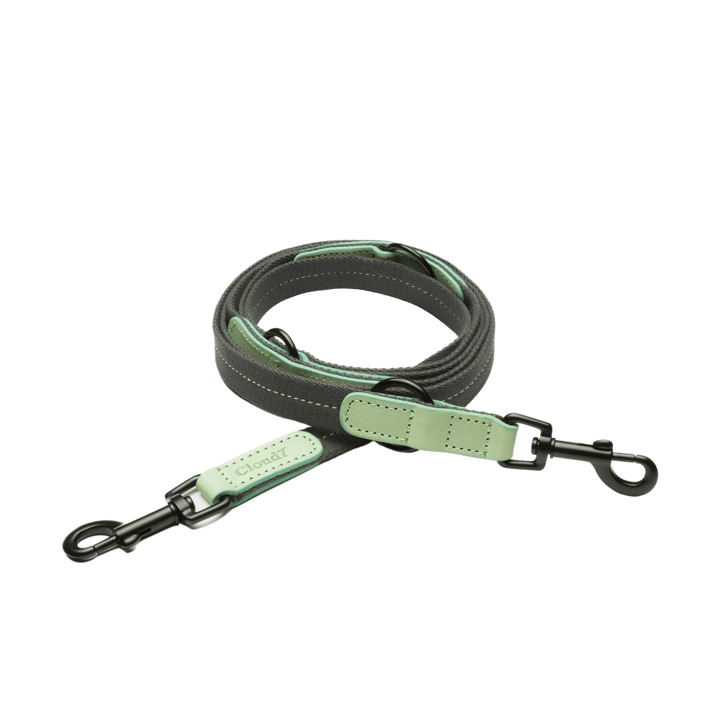 Pet Leash Madeira