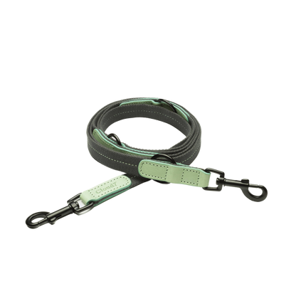 Pet Leash Madeira