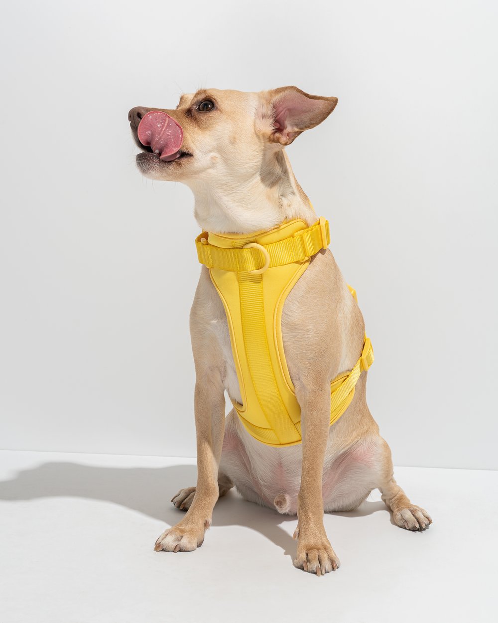 Comfort Pet Harness - SALE