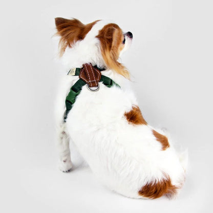 Explore - Harness