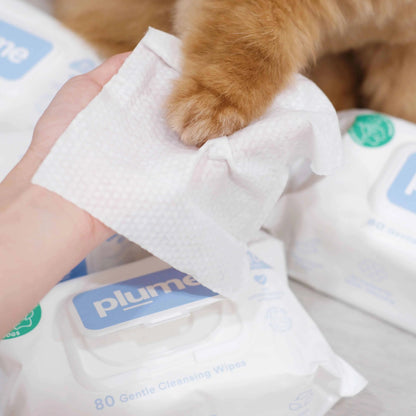 Gentle Cleansing Wet Wipes