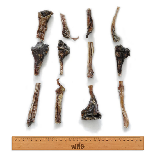 Kangaroo Tendons