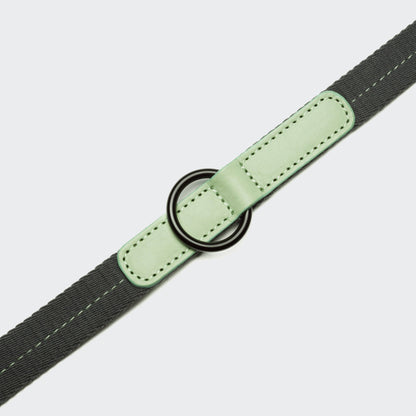 Pet Leash Madeira