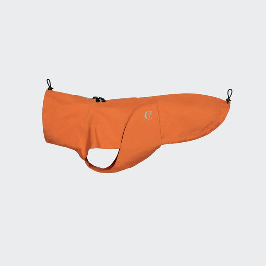 Dachshund Raincoat Dublin