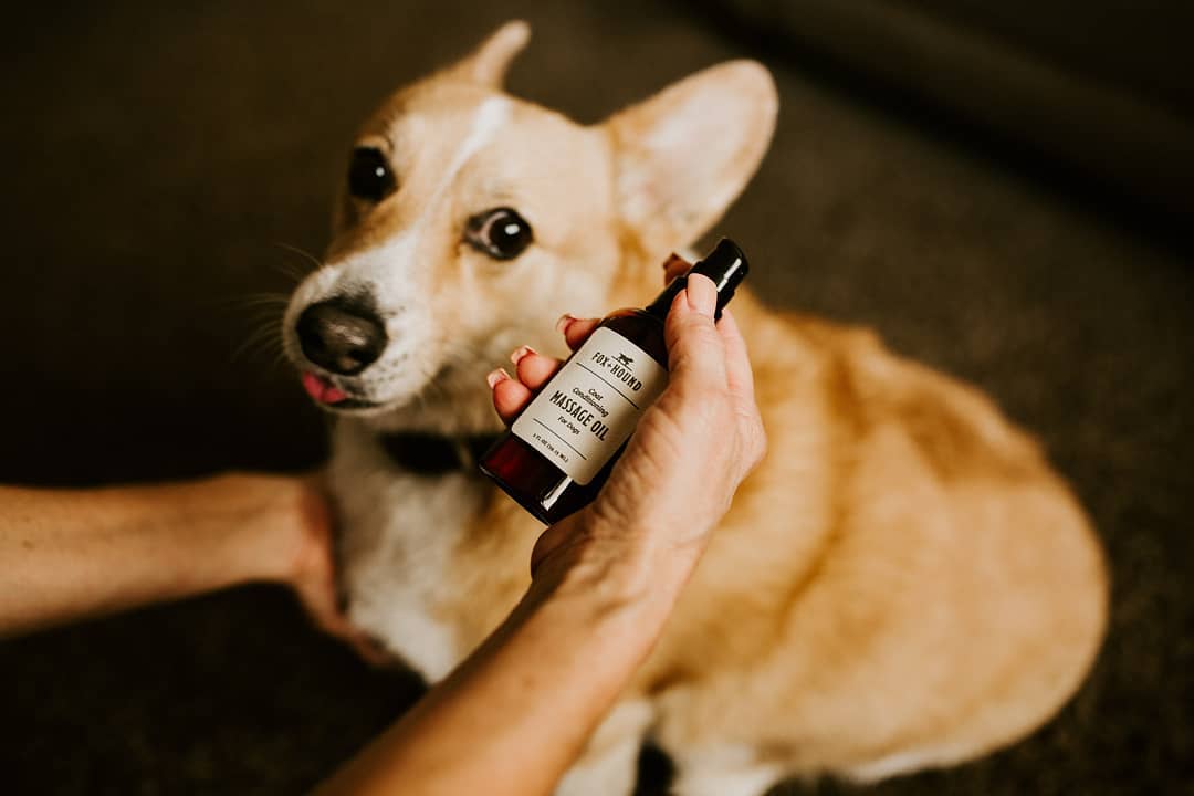 COAT CONDITIONING MASSAGE OIL FOR DOGS