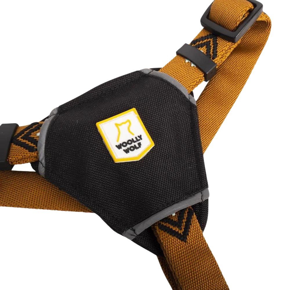 Sea to Summit Harness