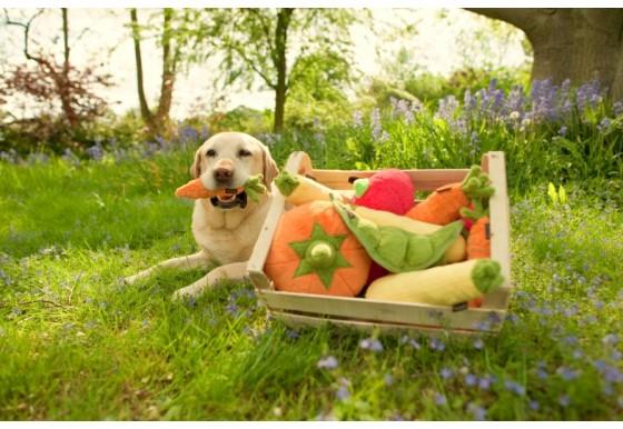 Dog Plush Toy - Garden Fresh Collection