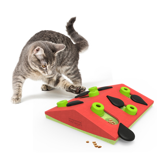 CAT PUZZLE GAME - MELON MADNESS PUZZLE & PLAY