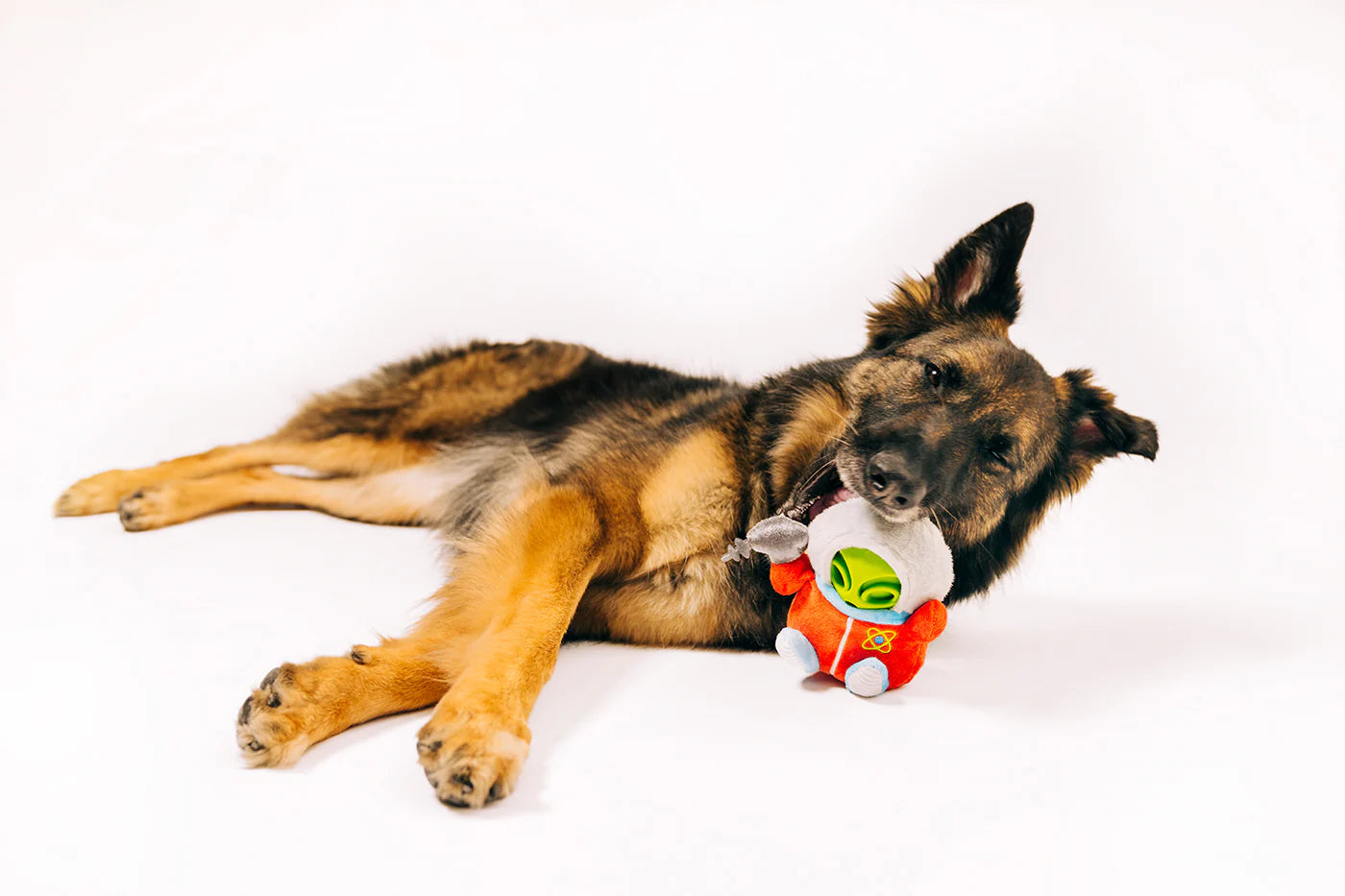 Dog Plush Toy - Alien Buddies