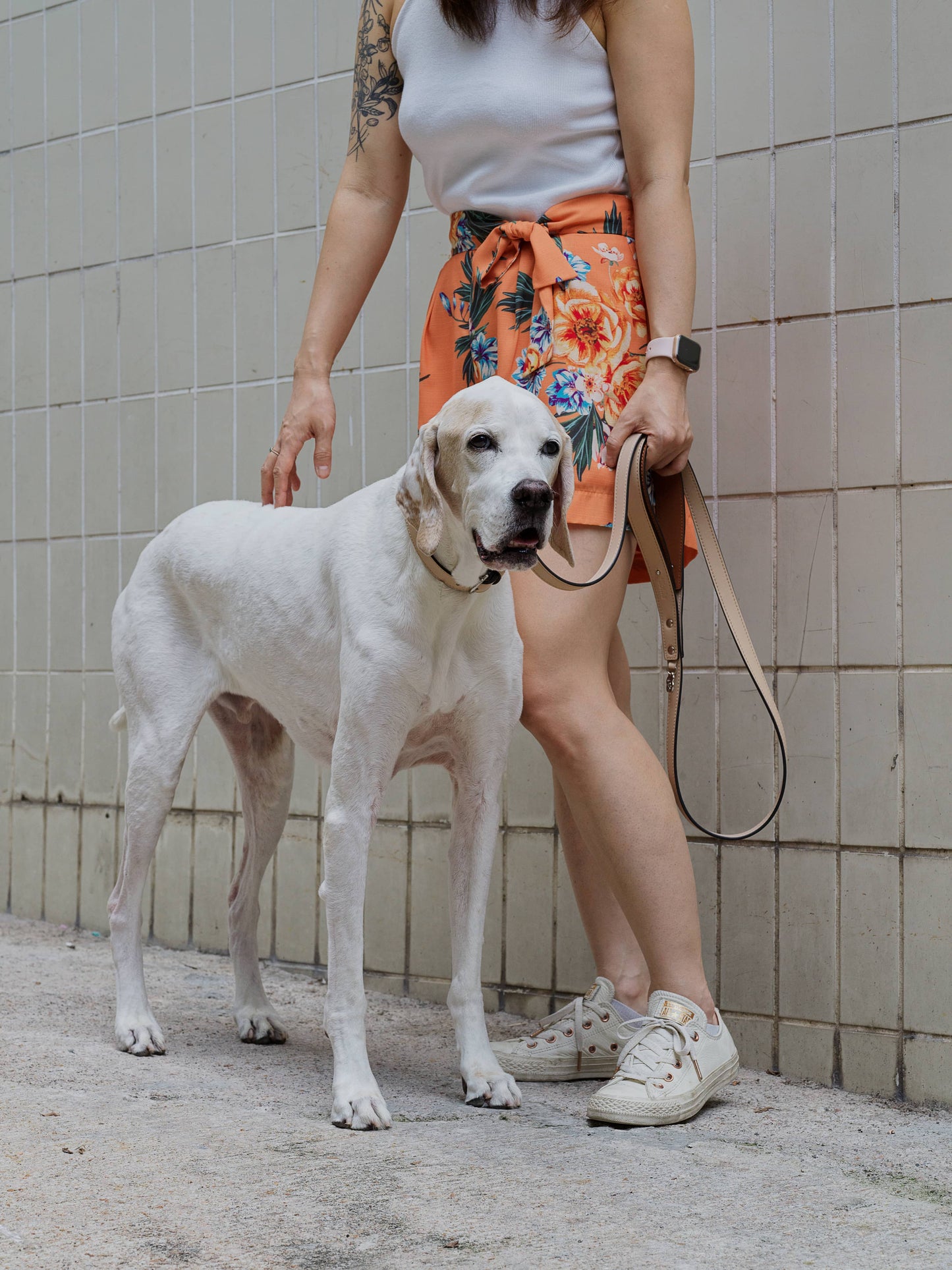Chaco Dog Collar