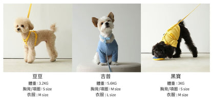Macaron Pet Collar