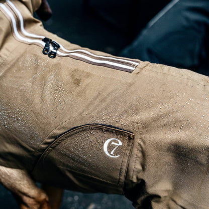 Dog Raincoat Dublin