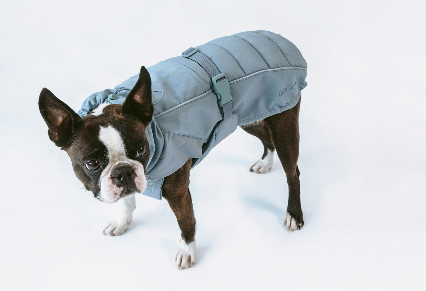 Stefano Winter Coat