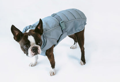 Stefano Winter Coat