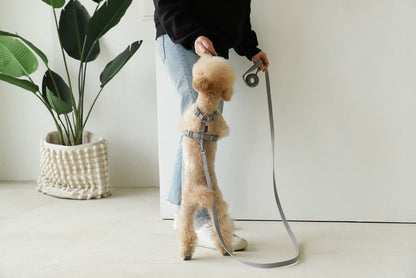 Macaron Pet Harness