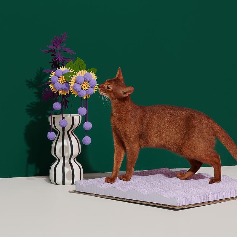 Cat Teaser