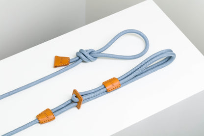 Dog Harness Ray