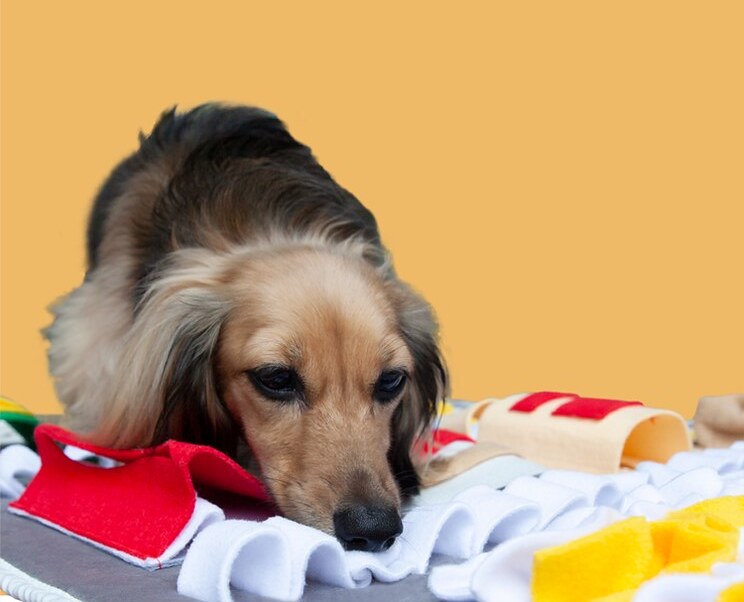 Premium Snuffle Mat - Vending Machine