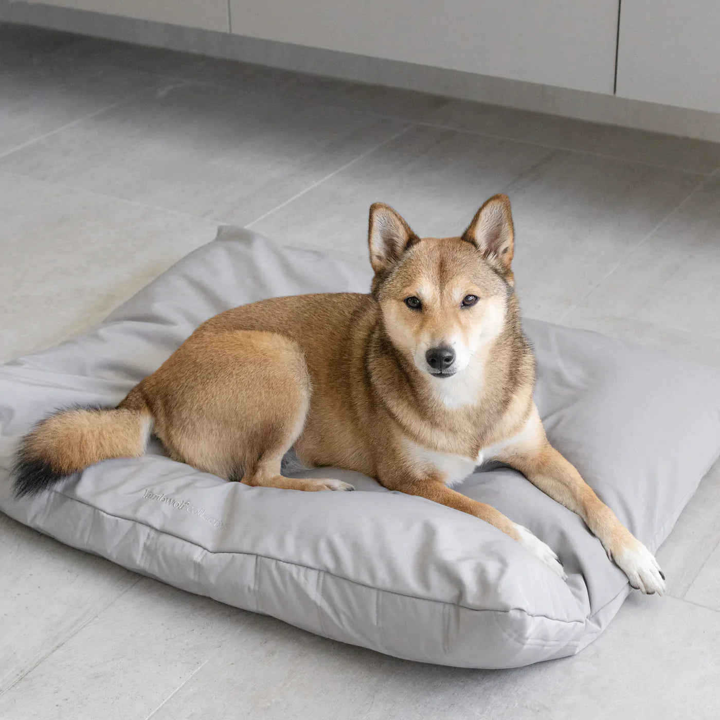 【PRE-ORDER】MAATIN low rise reversible dog bed