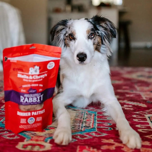 Stella & Chewys Freeze-Dried Dog Food - Absolutely Rabbit Patties