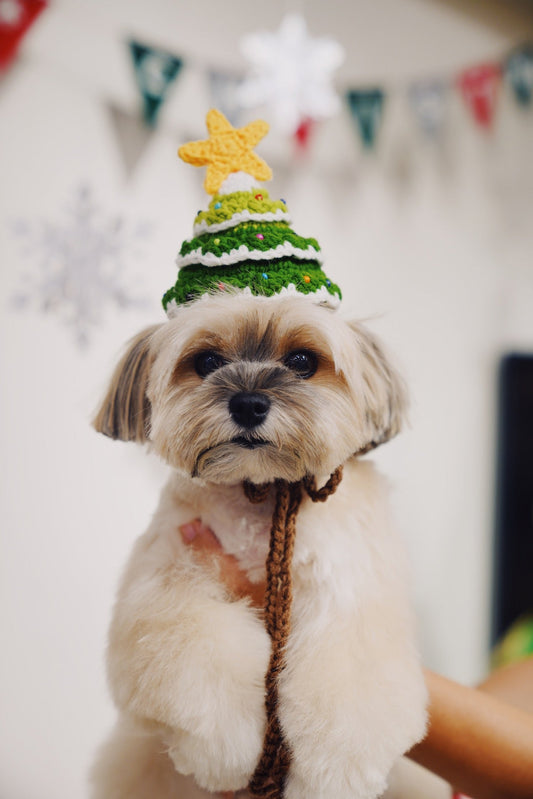 Christmas Tree Hat