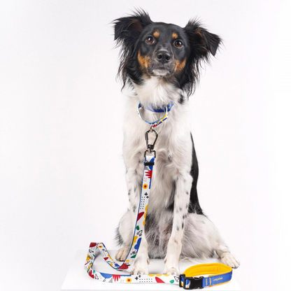 BAU - Martingale Collar