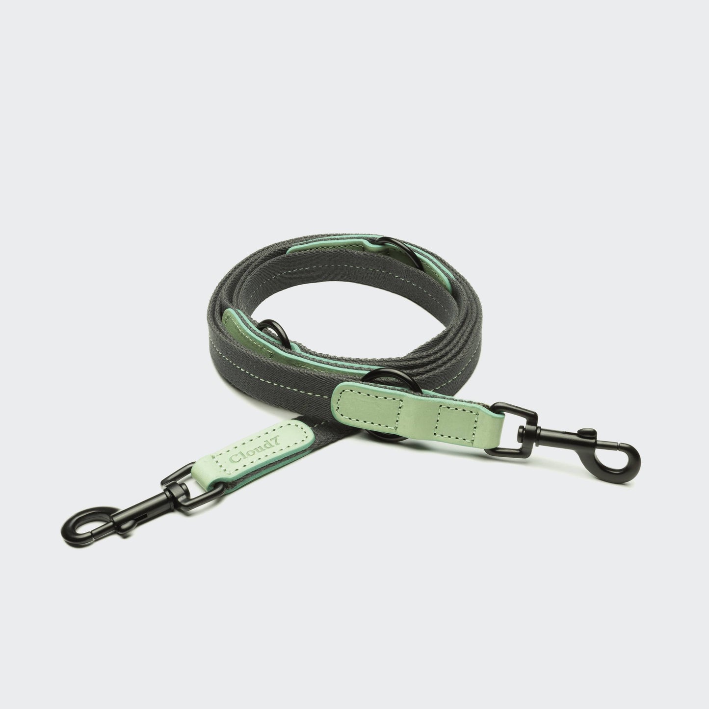 Pet Leash Madeira