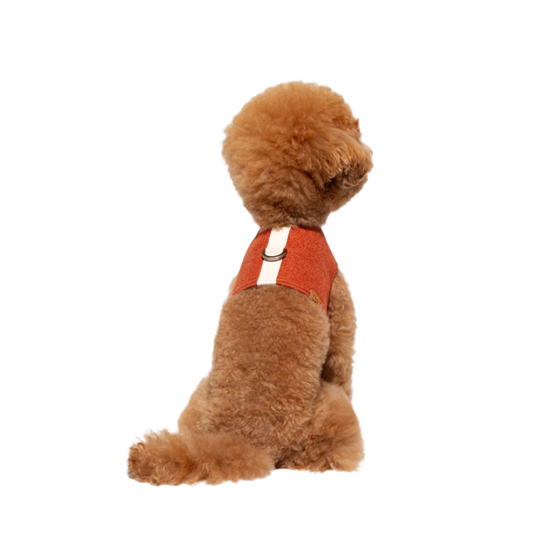 Walk Jacket Harness
