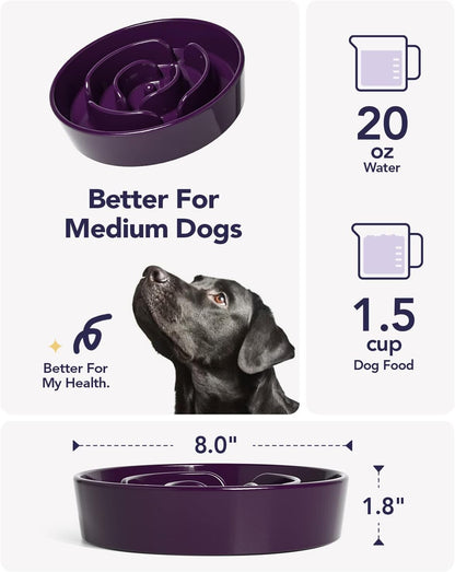 Ceramic Slow Feeder - Purple Maze