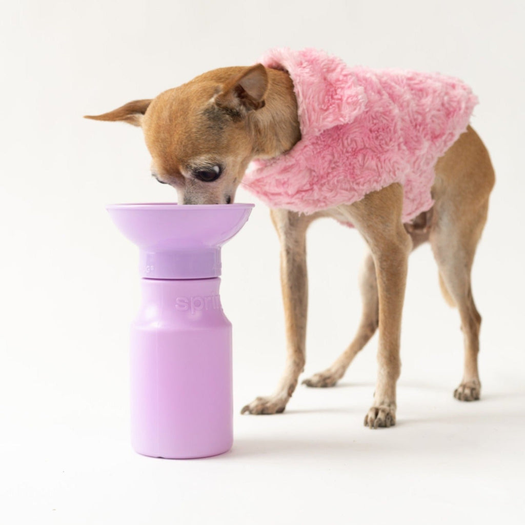 Mini Dog Travel Bottle